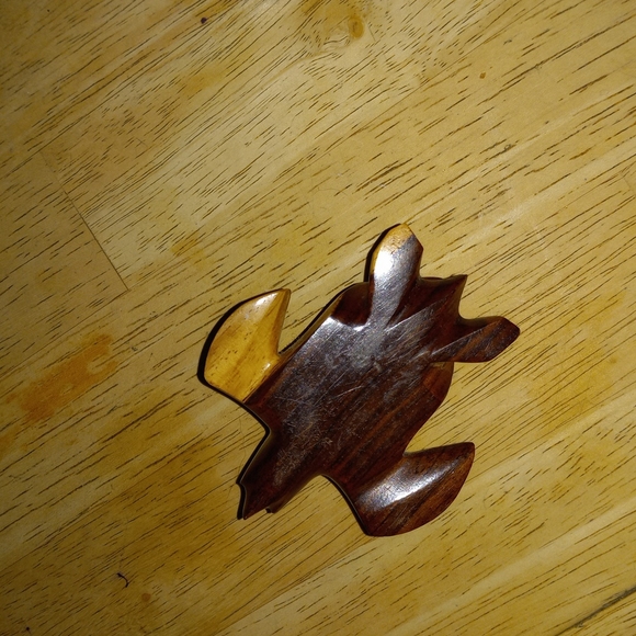 Turtle - Picture 2 of 3